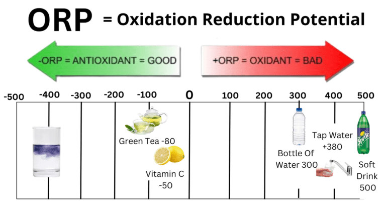 What is negative ORP and why is it necessary for our body?